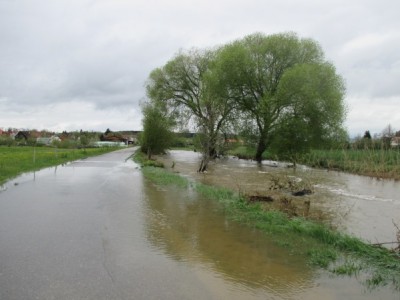 Wasser.jpg