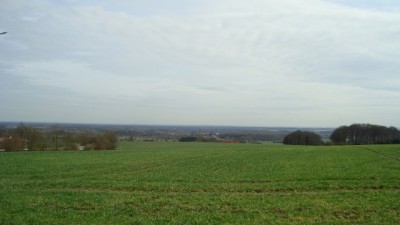 Münsterland.jpg